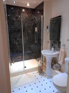 a bathroom with a shower and a sink and a toilet at The Apartment of Antiquity in Kirkby Stephen