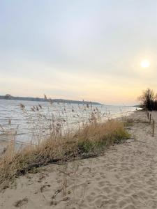 グダニスクにあるApartament Blisko Morza i Parku Gdańsk Brzeźnoの水の横に広がる高い芝生の浜
