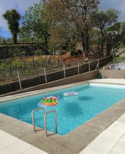 בריכת השחייה שנמצאת ב-HOUSE DOURO או באזור