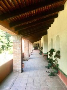 un couloir vide d'un bâtiment avec un plafond en bois dans l'établissement Rancho Cumbre Monarca, à La Ciénega