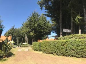 Zahrada ubytování Rancho Cumbre Monarca