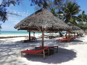 uma praia com cadeiras e um guarda-sol de palha e o oceano em Maisha Marefu Apartments em Kiwengwa