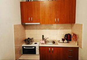 A kitchen or kitchenette at ενοικιαζομενα δωματια πηλιο διονυσια