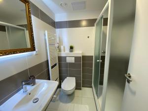 a bathroom with a sink and a toilet and a mirror at Apartmán Champion II in Plzeň +10 photos