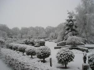 a garden covered in snow with trees and bushes at 't Rond Bargie in Exloo