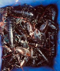 Galeriebild der Unterkunft Stein Inn in Stein + 118 Fotos