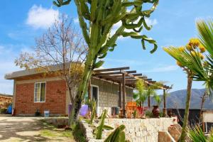 ein Haus mit einem Kaktus davor in der Unterkunft Rancho Matalote en Valle de Guadalupe in Valle de Guadalupe