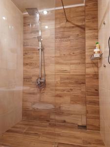 a bathroom with a shower with a wooden wall at Староярмаркова с видом на парк и реку in Kryvyi Rih