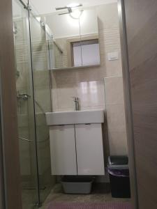 a bathroom with a sink and a glass shower at Flowers apartments Medulin, Fucane 1A in Medulin