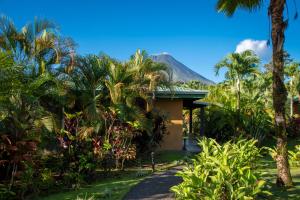 Κήπος έξω από το Arenal Manoa Resort & Hot Springs