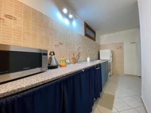 a kitchen with a counter with a microwave and a refrigerator at Pula With Pool in Pula