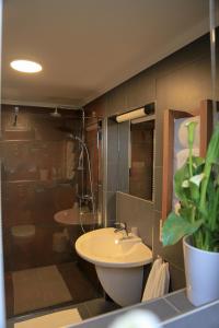 a bathroom with a sink and a shower at Les Pantoufles dans le Pré in Eppeldorf