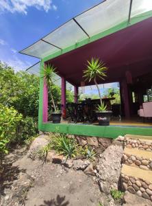 a patio with plants in pots on a building at Jamiro House ,casa mirante, autossustentavel in Lençóis