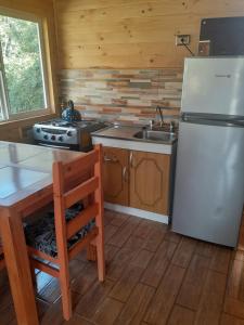 a kitchen with a refrigerator and a sink and a table at Cabañas El Sauce in La Ensenada