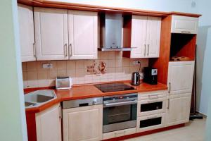 Kuchyň nebo kuchyňský kout v ubytování Horský Apartmán Loučná, nově s infrasaunou