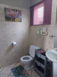 a bathroom with a toilet and a sink at West Street Inn - Ermelo in Ermelo