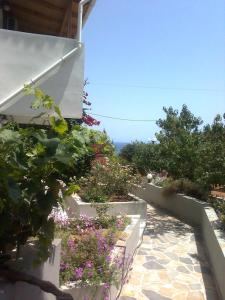 Φωτογραφία από το άλμπουμ του Βίλλα Ελίζα στη Σκάλα Κεφαλονιάς