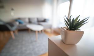 une plante en pot assise sur une table dans un salon dans l'établissement Destination Senja - Stonglandseidet, à Stonglandseidet