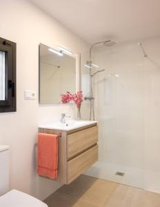 Koupelna v ubytování Apartaments La Rosella
