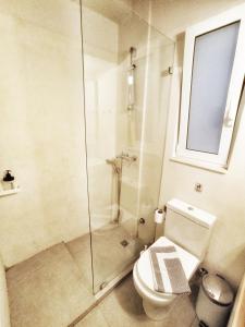 a bathroom with a toilet and a glass shower at Artemis Apartment @ Plaka in Athens