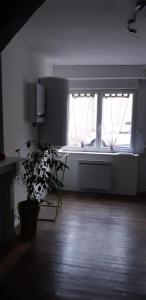 a room with two windows and a potted plant at L'escapade Guingampaise in Guingamp