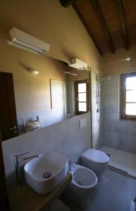 a bathroom with a sink and a toilet and a mirror at La Casa delle Rose in Terranuova Bracciolini