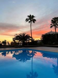 einem Pool mit Palmen und einem Sonnenuntergang im Hintergrund in der Unterkunft BuenaVista Apartment in Windsor Park in Adeje
