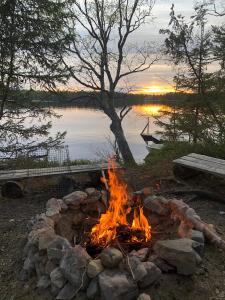 una hoguera junto a un lago con un árbol en Aarnitupa, cottage by lake Kylmäluoma, 