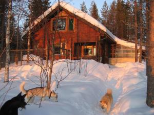 dos perros jugando en la nieve frente a una cabaña en Aarnitupa, cottage by lake Kylmäluoma, 