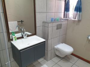a bathroom with a sink and a toilet and a mirror at Vaal de Grace River Village in Parys