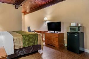 1 dormitorio con 1 cama, microondas y TV en Econo Lodge, en Tallahassee