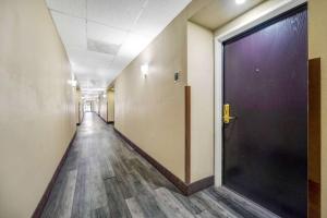 Billede fra billedgalleriet på Sleep Inn Leesburg Chain of Lakes i Leesburg + 16 billeder