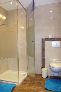 a bathroom with a shower and a toilet at Holiday Home Apart Garni Niederhof - KPL119 by Interhome in Kappl