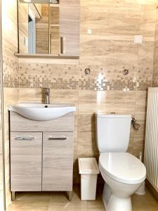 Kúpeľňa v ubytovaní Balaton Apartman