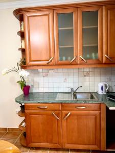 Kuchyňa alebo kuchynka v ubytovaní Balaton Apartman