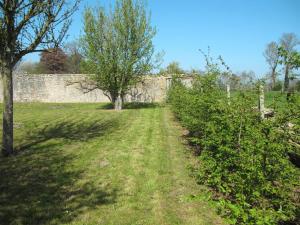 a field with trees and a stone wall at Holiday Home Le Repos by Interhome in Commes