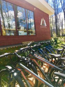 Jazda na bicykli v okolí ubytovania Apartament BazaTatry Taternicki