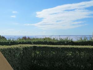 a hedge with the ocean in the background at Apartment Fakarava - CZN143 by Interhome in Crozon