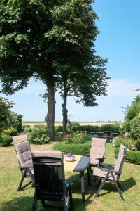 three chairs and a picnic table in the grass with a tree at Apartment Huuske am Polder by Interhome in Ditzumerhammrich