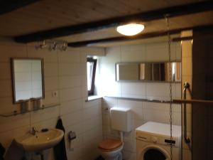 a small bathroom with a toilet and a sink at Ferienhaus am Rosslauer Markt in Dessau
