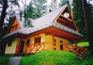 ein kleines Haus mitten im Wald in der Unterkunft Chata Ala in Demänovská Dolina