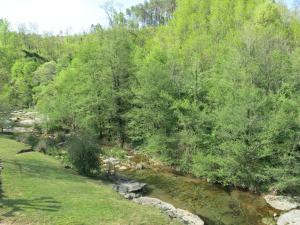 a stream of water with trees and grass at Holiday Home Le Moulin - SGB100 by Interhome in Saint-Genest-de-Bauzon