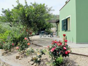 un giardino con rose e una casa di Holiday Home Rosa by Interhome a Civezza