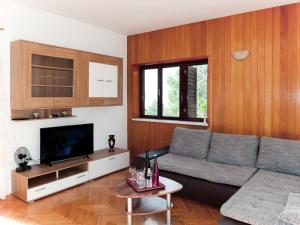 a living room with a couch and a tv at Apartment Lada - OMI206 by Interhome in Marusici 