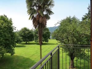 a palm tree sitting on top of a balcony at Holiday Home di Pipot by Interhome in Pettenasco