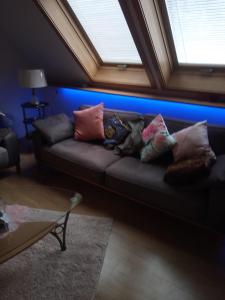 ein Sofa mit Kissen im Wohnzimmer mit Fenster in der Unterkunft Haus Wander-Lust in Lauterbach