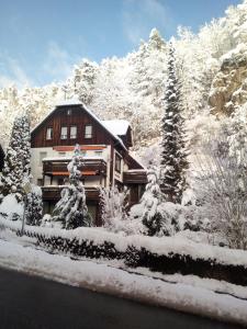 a house covered in snow next to a road at Haus Wander-Lust in Lauterbach