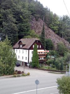 ein großes weißes Gebäude an der Seite einer Straße in der Unterkunft Haus Wander-Lust in Lauterbach