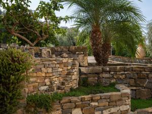 Una pared de piedra con una palmera detrás. en Apartment Joy - IMP521 by Interhome, en Imperia