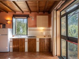 una cucina con lavandino e frigorifero di Holiday Home U Figu du Camin by Interhome a Villa Viani
